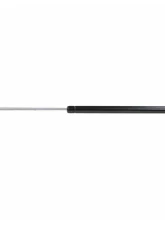 Strong Arm Tailgate Lift Support Honda Accord Right 1994-1997                                     - 4869R - Image 2