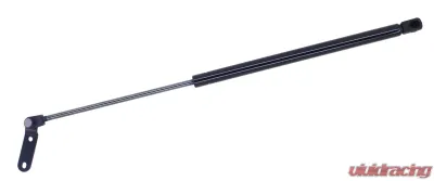 Strong Arm Liftgate Lift Support Nissan Xterra Right 2000 - 6119R