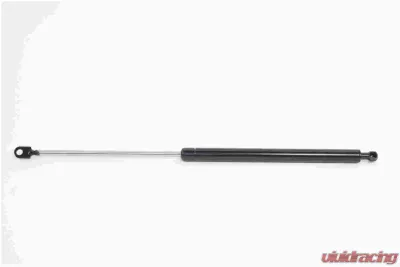 Strong Arm Back Glass Lift Support BMW - 6696