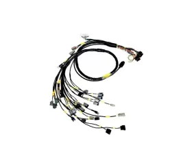 Rywire Engine Harness (w/MTron KV8 ECU) Honda B-Series