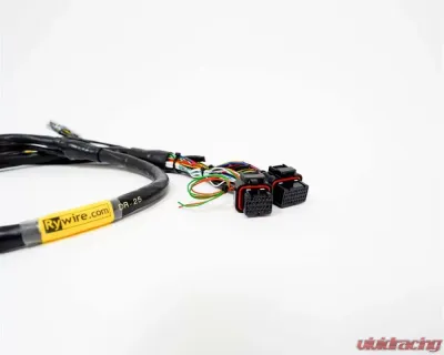 Rywire Engine Harness (w/MTron KV8 ECU) Honda B-Series - RY-B-EMTRON-KV8
