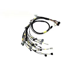 Rywire Engine Harness (w/FuelTech 550 ECU) Honda B-Series