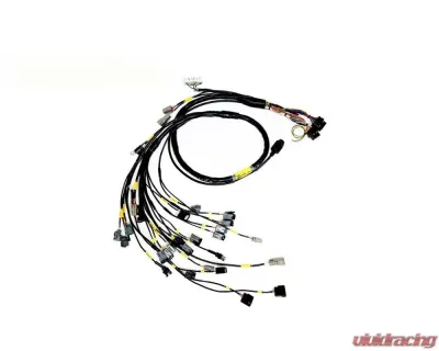 Rywire Engine Harness (w/FuelTech 550 ECU) Honda B-Series - RY-B-FUELTECH-550