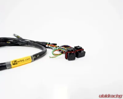 Rywire Engine Harness (w/FuelTech 550 ECU) Honda B-Series - RY-B-FUELTECH-550