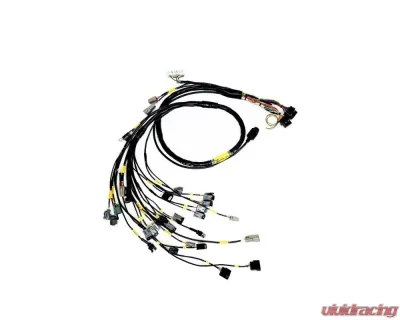 Rywire Engine Harness (w/Haltech Elite 1500+) Honda B-Series - RY-B-HALTECH-ELITE