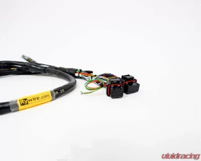 Rywire Engine Harness (w/Haltech Elite 1500+) Honda B-Series - RY-B-HALTECH-ELITE