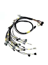 Rywire Engine Harness (w/Link G4 ECU) Honda B-Series                                     - RY-B-LINK-G4 - Image 2