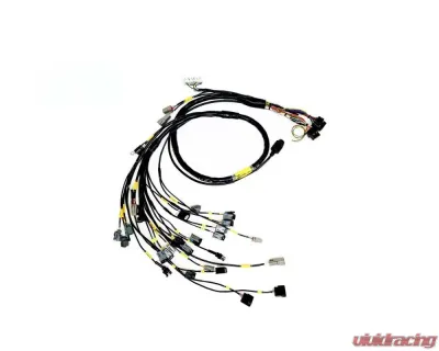 Rywire Engine Harness (w/Link G4 ECU) Honda B-Series - RY-B-LINK-G4