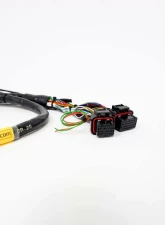 Rywire Engine Harness (w/Link G4 ECU) Honda B-Series                                     - RY-B-LINK-G4 - Image 2