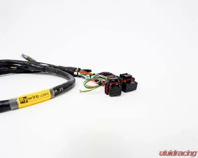 Rywire Engine Harness (w/Link G4 ECU) Honda B-Series - RY-B-LINK-G4