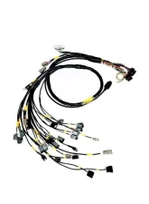 Rywire Engine Harness (w/Motec M130 ECU) Honda B-Series                                     - RY-B-MOTEC-M130 - Image 2