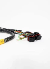 Rywire Engine Harness (w/Motec M130 ECU) Honda B-Series                                     - RY-B-MOTEC-M130 - Image 2
