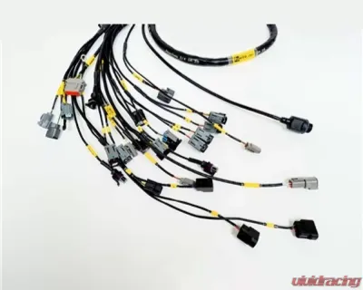 Rywire Engine Harness (w/Syvecs SV7 ECU) Honda B-Series - RY-B-SYVEC-S7