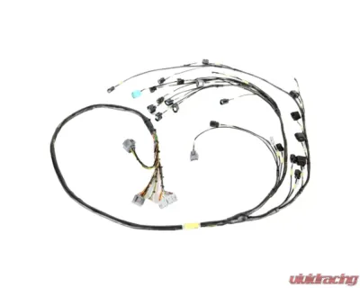 Rywire Honda B-Series OBD1 Tuck Budget Engine Harness (2B) Acura Integra 2000-2001 RY-B1-BASE-EG-2B - RY-B1-BASE-EG-2B