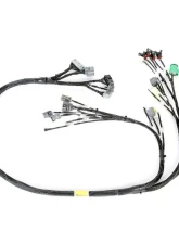 Rywire OBD1 Tuck Budget Engine Harness Honda B-Series                                     - RY-B1-BASE - Image 3