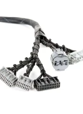 Rywire OBD1 Tuck Budget Engine Harness Honda B-Series                                     - RY-B1-BASE - Image 2