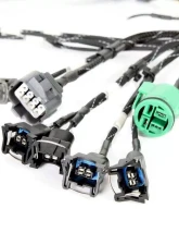 Rywire OBD1 Tuck Budget Engine Harness Honda B-Series                                     - RY-B1-BASE - Image 3