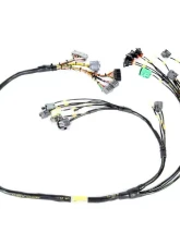 Rywire Military Specification Engine Harness Honda B-Series | D-Series                                     - RY-B1-MILSPEC - Image 3