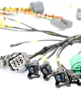 Rywire Military Specification Engine Harness Honda B-Series | D-Series                                     - RY-B1-MILSPEC - Image 2