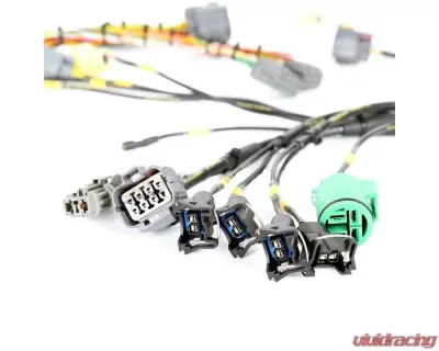 Rywire Military Specification Engine Harness Honda B-Series | D-Series - RY-B1-MILSPEC
