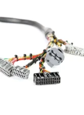 Rywire Military Specification Engine Harness Honda B-Series | D-Series                                     - RY-B1-MILSPEC - Image 3