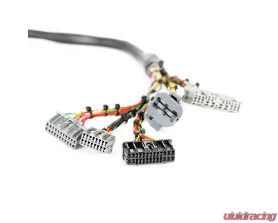 Rywire Military Specification Engine Harness Honda B-Series | D-Series - RY-B1-MILSPEC