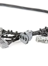 Rywire OBD2 Tuck Budget Engine Harness Honda B-Series                                     - RY-B2-BASE - Image 2