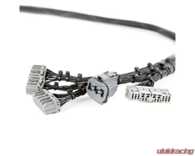 Rywire OBD2 Tuck Budget Engine Harness Honda B-Series - RY-B2-BASE
