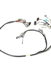 Rywire Military Specification Engine Harness Honda B-Series                                     - RY-B2-MILSPEC - Image 3