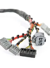 Rywire Military Specification Engine Harness Honda B-Series                                     - RY-B2-MILSPEC - Image 3