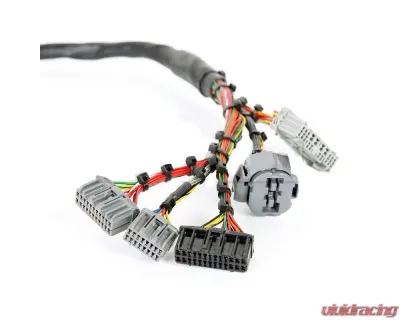 Rywire Military Specification Engine Harness Honda B-Series - RY-B2-MILSPEC