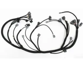 Rywire OEM Replacement Engine Harness Honda Civic with B-Series 1992-1995 | Acura Integra LHD Only 1994-2001