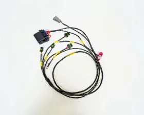 Rywire IGBT (AEM/IGN-1A) Coil Sub-Harness for 2 Rotor Engines