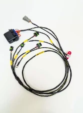 Rywire IGBT (AEM/IGN-1A) Coil Sub-Harness for 2 Rotor Engines                                     - RY-COP-IGBT - Image 3