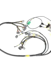 Rywire Military Specification Engine Harness with OBD1 Distrubutor Honda F-Series | H-Series                                     - RY-H1-MILSPEC - Image 4