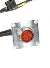 Rywire Military Specification Engine Harness with OBD1 Distrubutor Honda F-Series | H-Series                                     - RY-H1-MILSPEC - Image 2