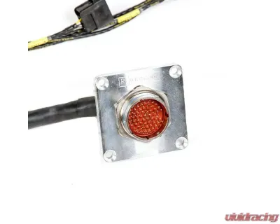 Rywire Military Specification Engine Harness with OBD1 Distrubutor Honda F-Series | H-Series - RY-H1-MILSPEC