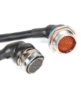 Rywire Military Specification Engine Harness with OBD1 Distrubutor Honda F-Series | H-Series                                     - RY-H1-MILSPEC - Image 3