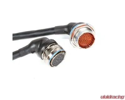 Rywire Military Specification Engine Harness with OBD1 Distrubutor Honda F-Series | H-Series - RY-H1-MILSPEC