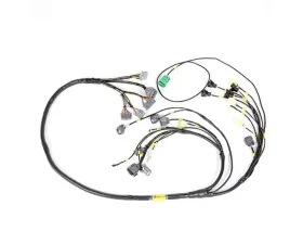 Rywire Military Specification Engine Harness with OBD2 Distrubutor Honda F-Series | H-Series