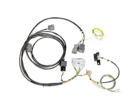 Rywire Chassis Adapter Harness (EG/DC) Honda Civic K-Series | Acura Integra 1992-2001