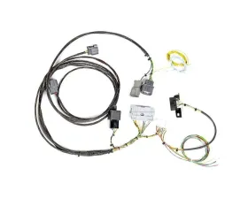 Rywire Chassis Specific Adapter Harness (EK) Honda Civic K-Series 1996-1998