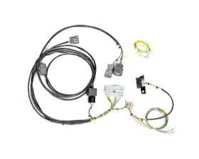 Rywire Chassis Adapter Harness (EK) Honda Civic K-Series 1999-2000