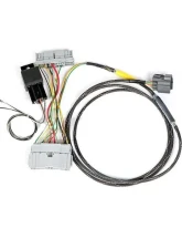 Rywire Chassis Adapter Harness (EK) Honda Civic K-Series 1999-2000                                     - RY-K-ADAPTER-EK-LATE - Image 3