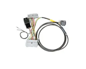 Rywire Conversion Chassis Adapter Harness Honda Civic K-Series 2001-2005