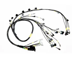 Rywire AEM Infinity Military Specification Engine Harness Honda K-Series 2002-2004