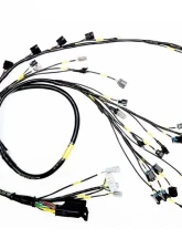 Rywire AEM Infinity Military Specification Engine Harness Honda K-Series 2002-2004                                     - RY-K-INFINITY - Image 4