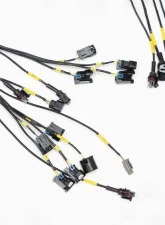 Rywire AEM Infinity Military Specification Engine Harness Honda K-Series 2002-2004                                     - RY-K-INFINITY - Image 3
