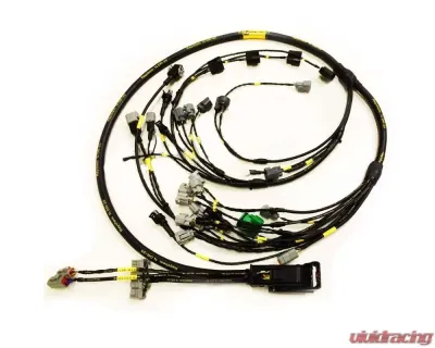 Rywire AEM Infinity Military Specification Engine Harness Honda K-Series 2002-2004 - RY-K-INFINITY