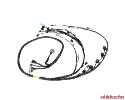 Rywire Honda K-Series Tucked Budget Engine Harness Honda Civic K-Series Conversion 2001-2005 - RY-K2-BASE-EM2